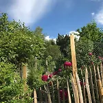 Alpenrose *