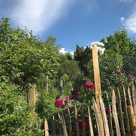 Alpenrose *